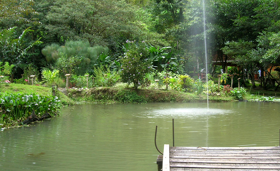 Biological Reserve Las Quebradas -FUDEBIOL