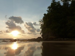 SEPA beach like glass