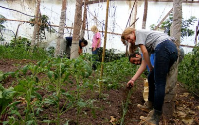 Finca orgánica en P.Z.