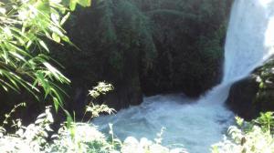 Trip to CloudBridge Waterfall