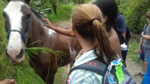 Trip to CloudBridge Waterfall